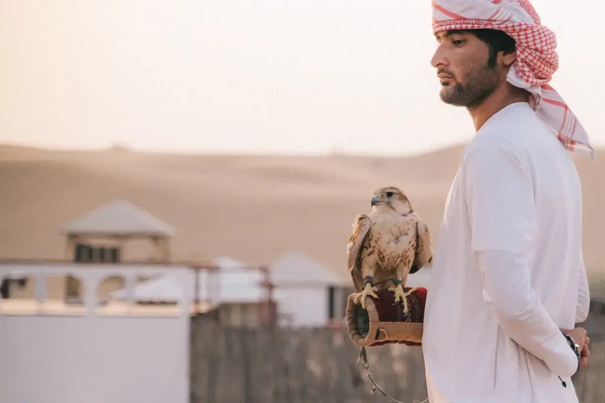 UAE Job Market Report 2026 Image13
