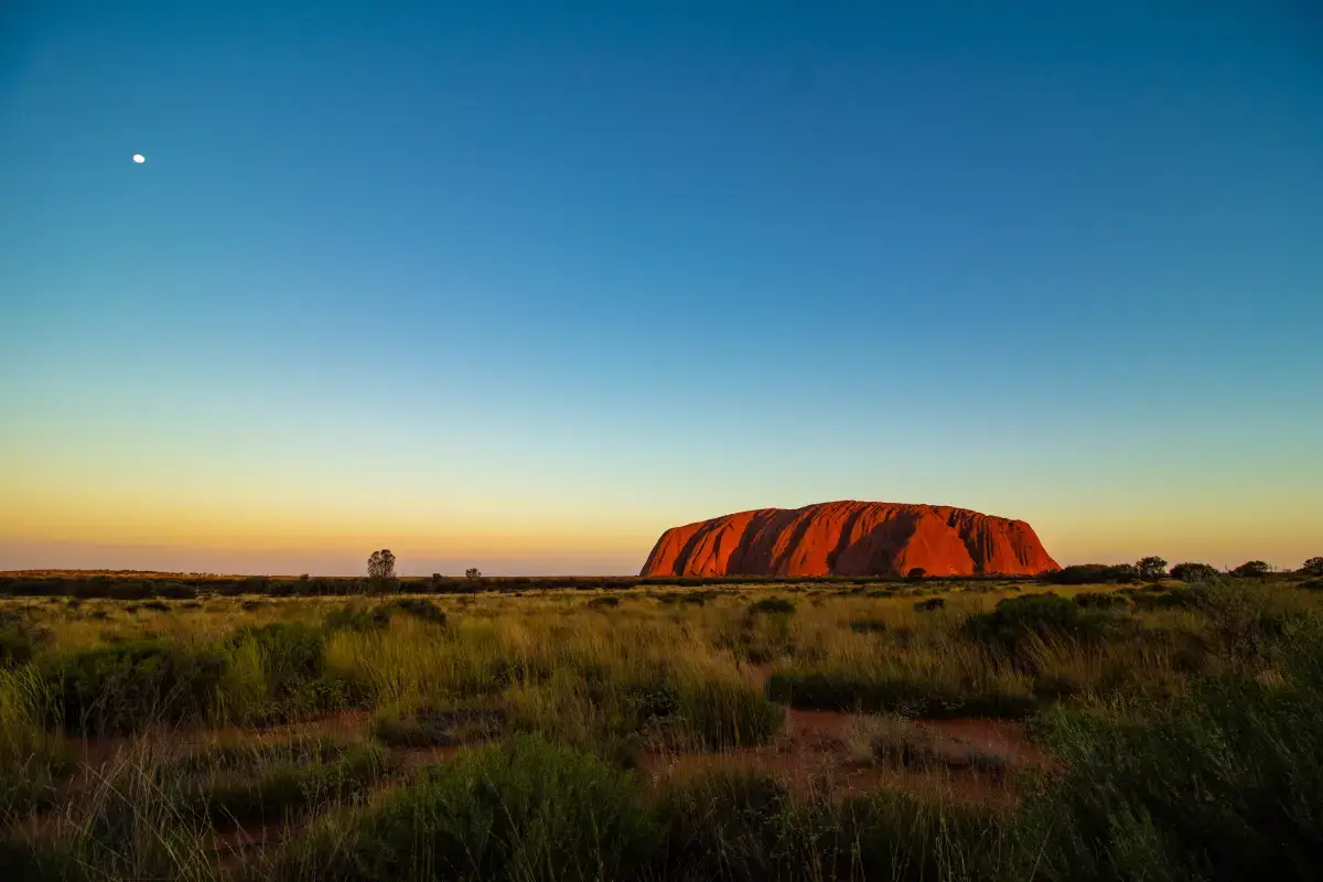 Discovering the Heart of Australia through Volunteering: A Journey of Giving and Unity Image4