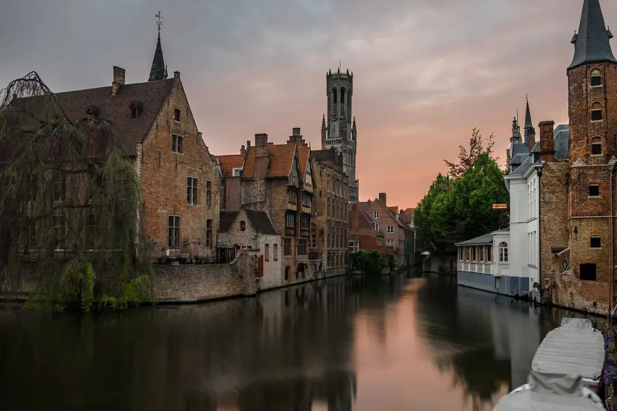 Volunteering in Belgium: A World of Opportunities and Community Engagement Image1