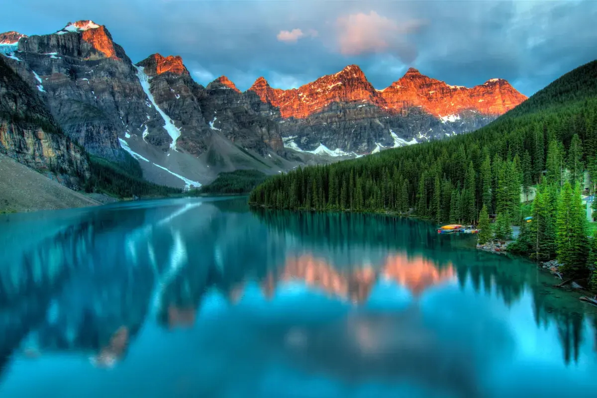 Volunteering in Canada: A Journey of Community, Culture, and Compassion Image5