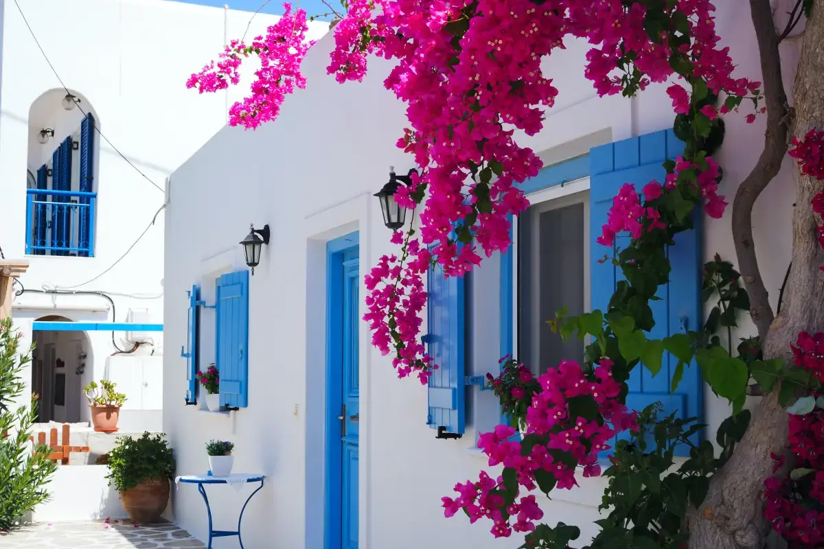 Volunteering in Greece: Embrace Culture, Community, and Compassion Image1