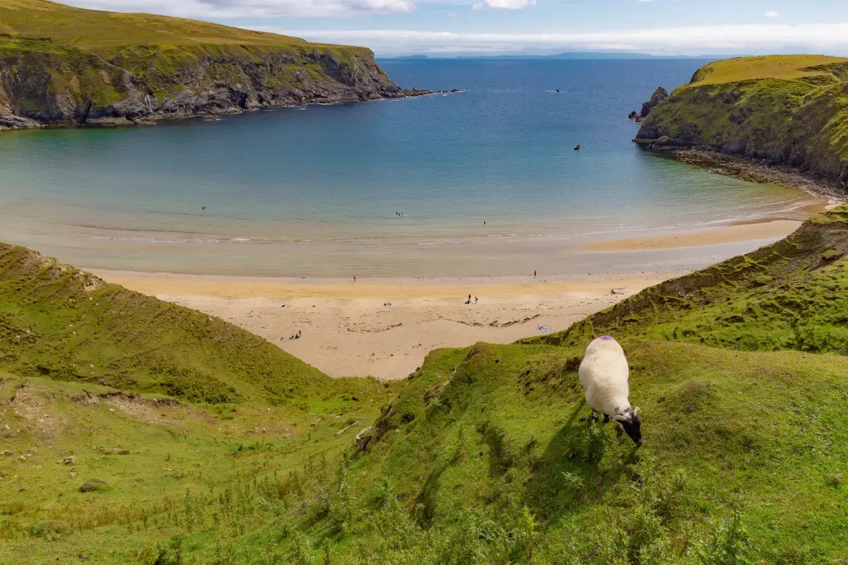 Volunteering in Ireland: A Unique Experience of Giving Back Image4