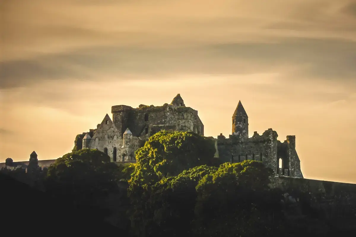 Volunteering in Ireland: A Unique Experience of Giving Back Image6