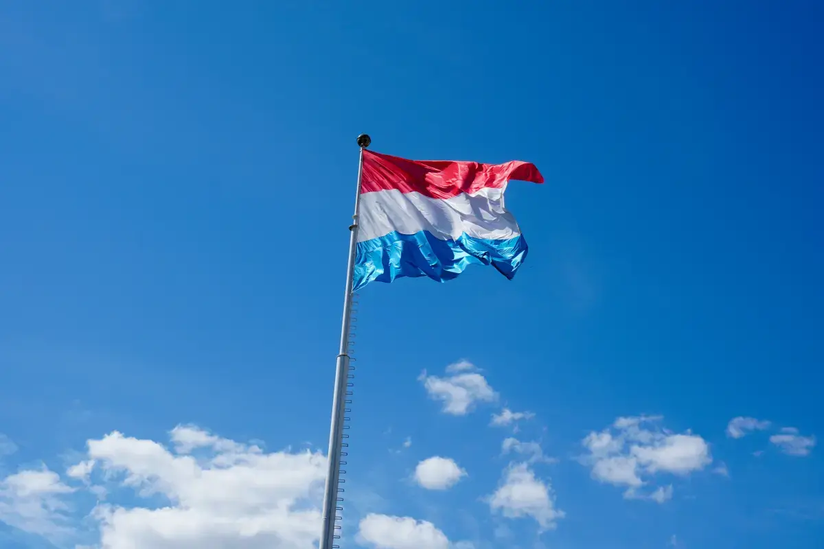 Volunteering in Luxembourg: A Unique Opportunity to Make a Difference Image1