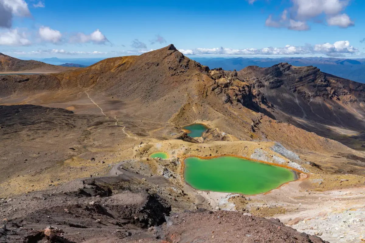Volunteering in New Zealand: A Journey of Giving Back and Exploring the Unique Kiwi Spirit Image6