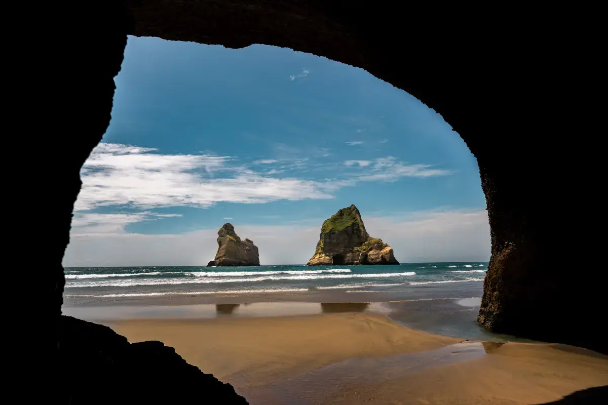 Volunteering in New Zealand: A Journey of Giving Back and Exploring the Unique Kiwi Spirit Image7