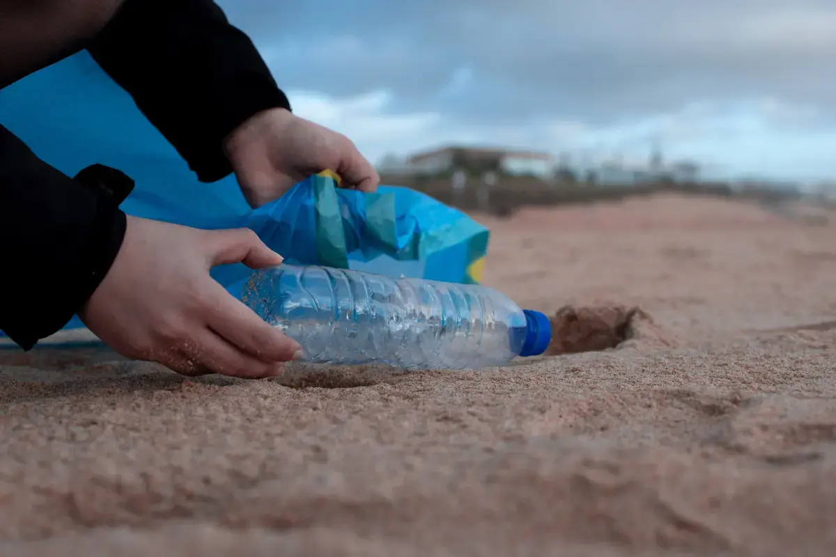 Volunteering 101: A Comprehensive Guide to Making a Difference Image9