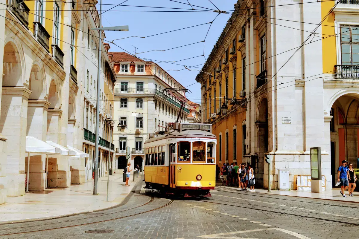 Exploring the Heart of Giving: Volunteering in Portugal Image1