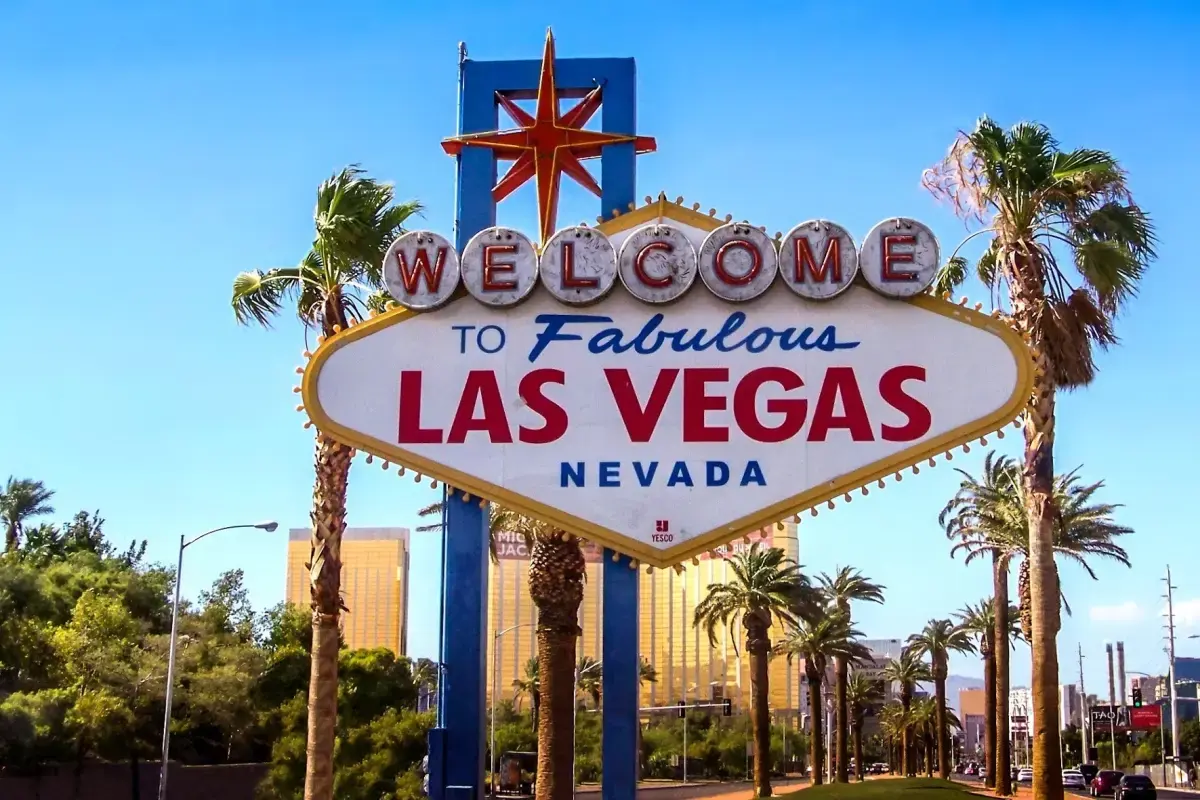 Volunteering in the USA: Making a Difference and Building Connections Image5