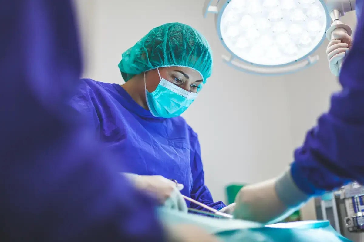 The Unsung Heroes: Volunteer Vet Nurses and Their Vital Role in Animal Welfare Image1
