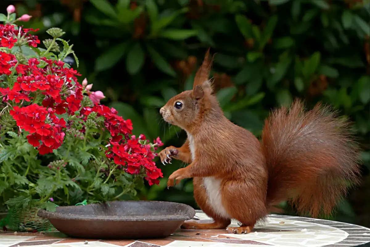 Working Conditions of a Wildlife Photographer?