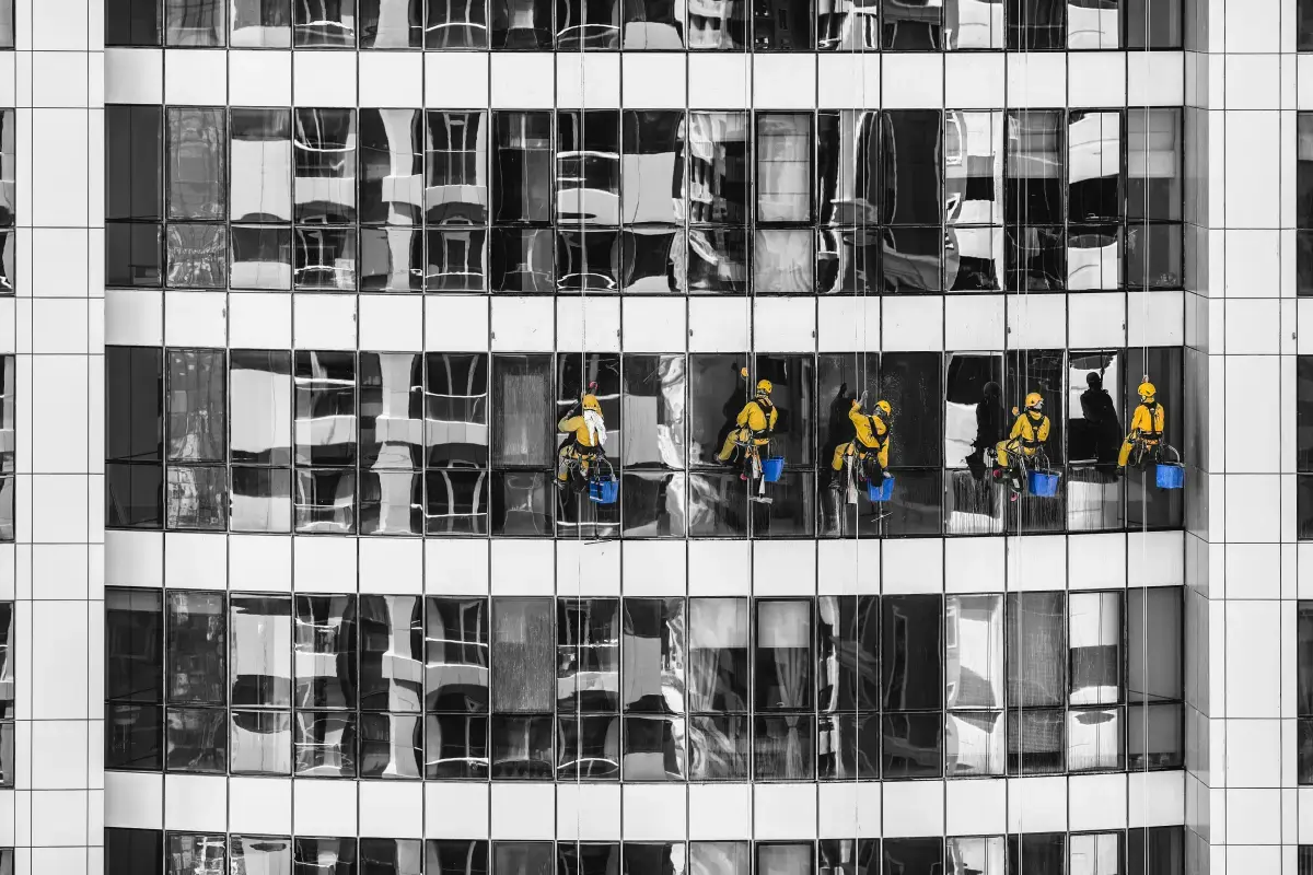 Window Cleaners